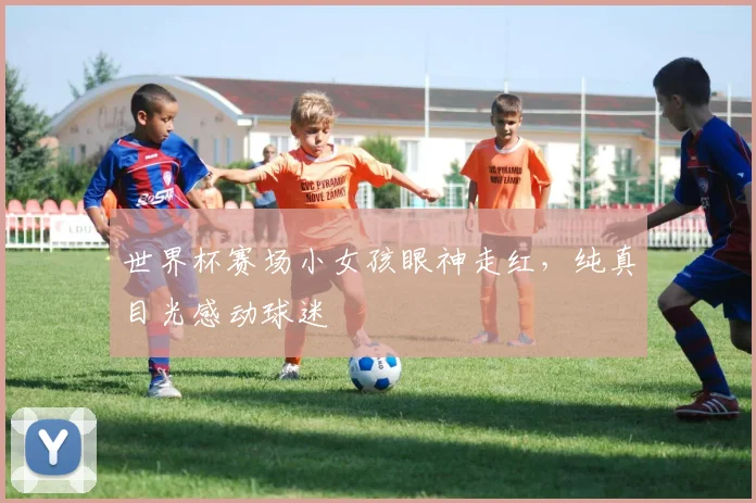 世界杯赛场小女孩眼神走红，纯真目光感动球迷