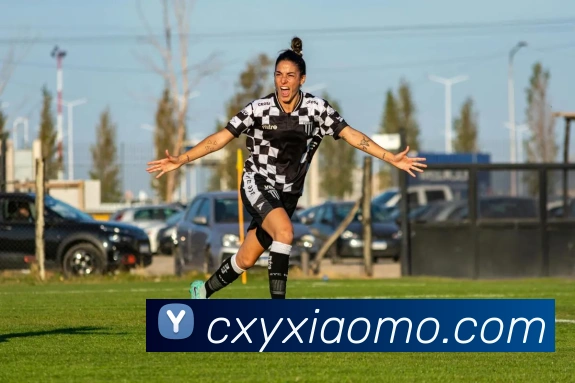 世界杯平台官网登录发展历程